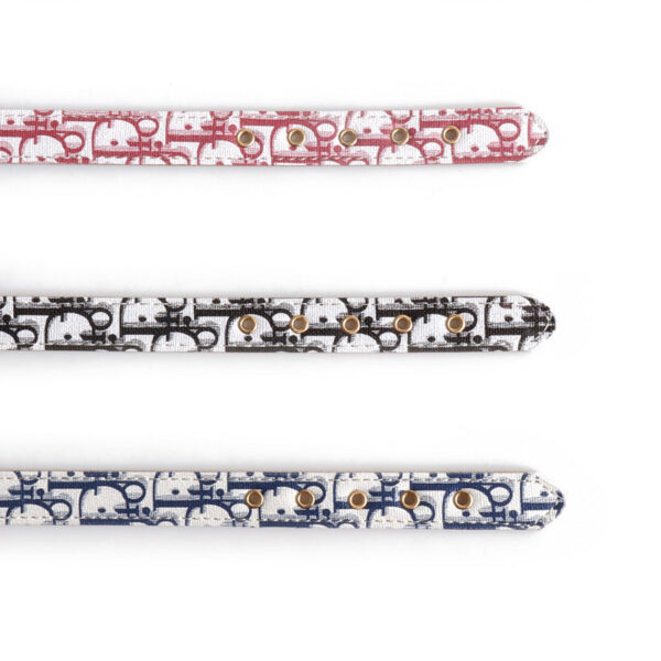 Dogior Collar & Leash Set - Image 7