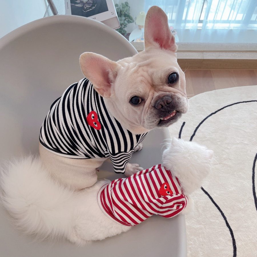 CDG Striped Jumper - Image 5