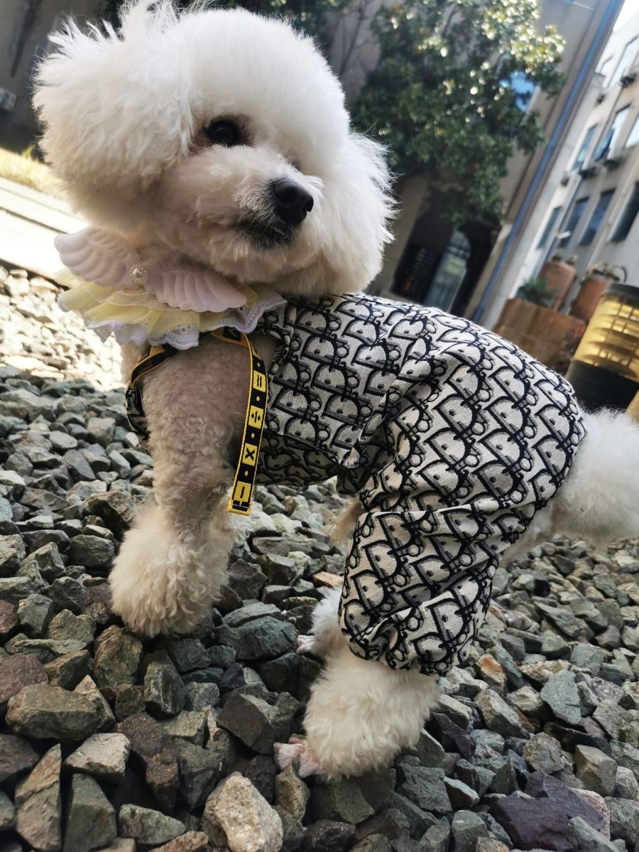 Dogior Oblique Jumpsuit - Image 3