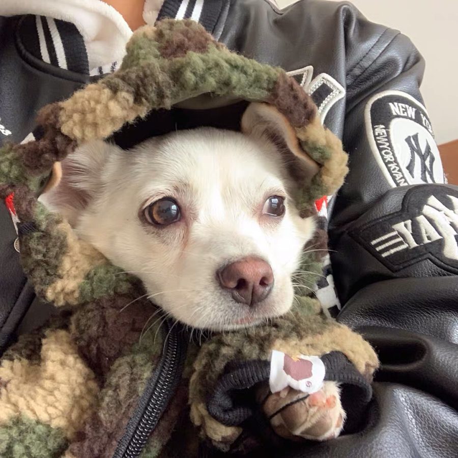 A Barking Pup Fleece Jacket - Image 8