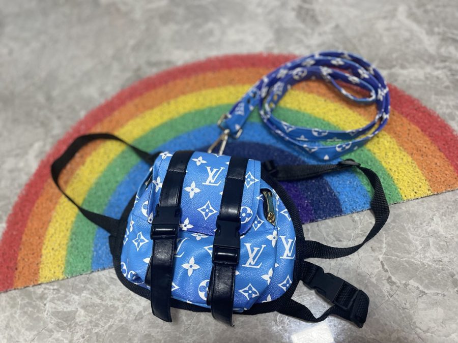 Chewy V Blue Backpack & Leash - Image 2