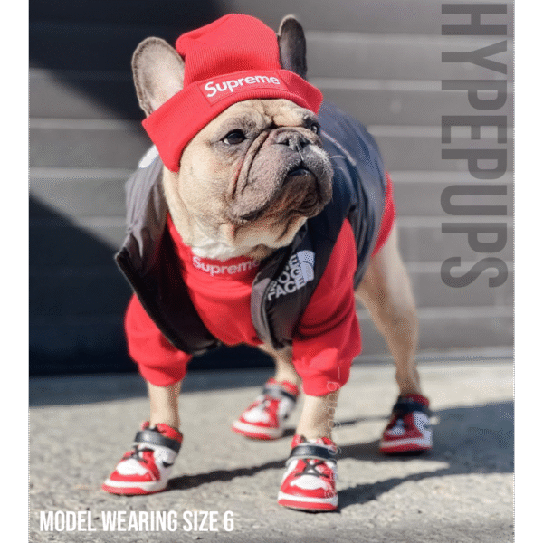 Air Bud 1s - Image 5