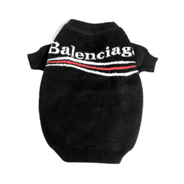 Pawlenciaga Logo Sweater