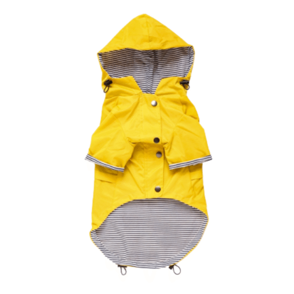 Yellow Dog Raincoat