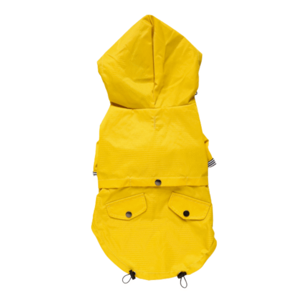 Yellow Dog Raincoat - Image 2