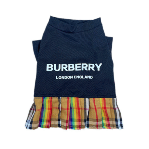 Furberry Rainbow Print Dress
