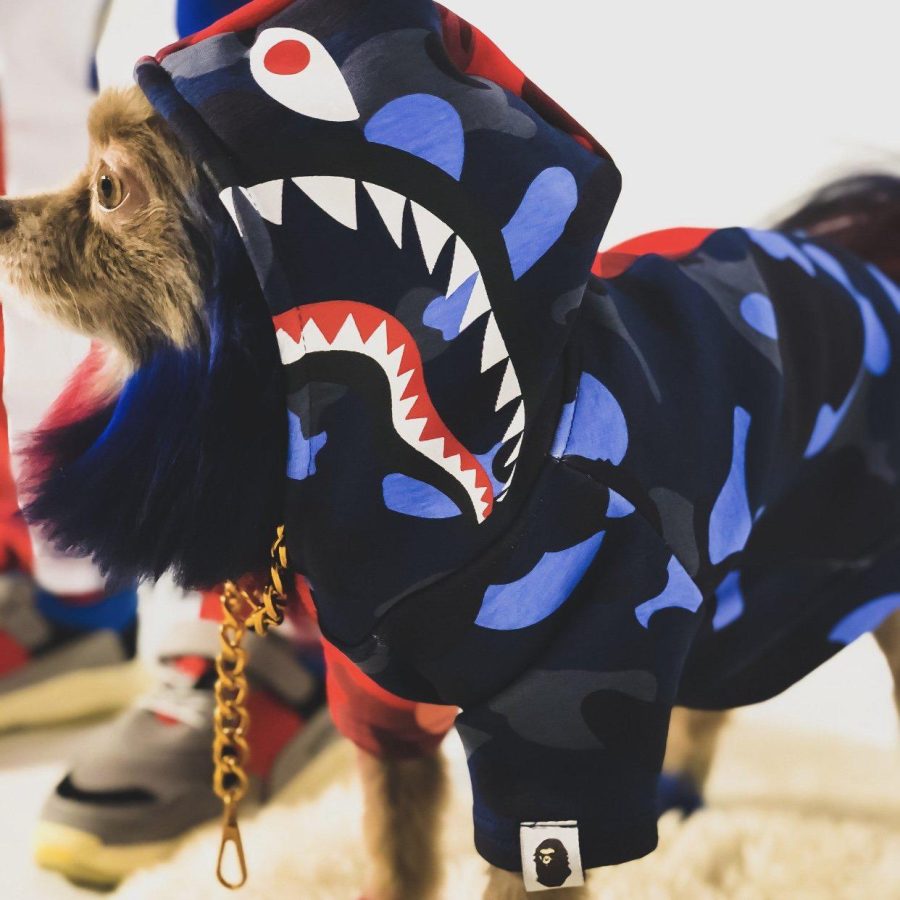 A Barking Pup Two Tone Hoodie Hype Pups designer dog clothes.