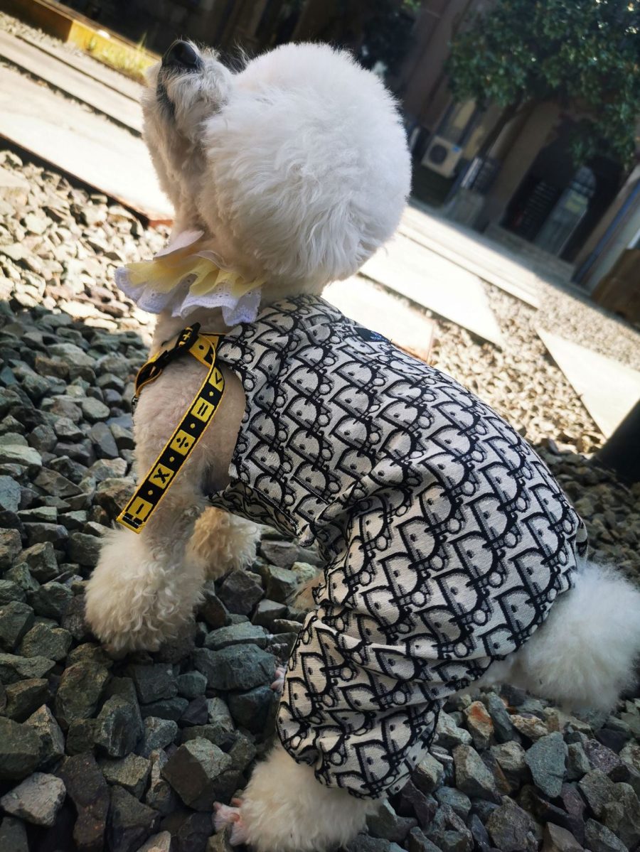 Dogior Oblique Jumpsuit - Image 4