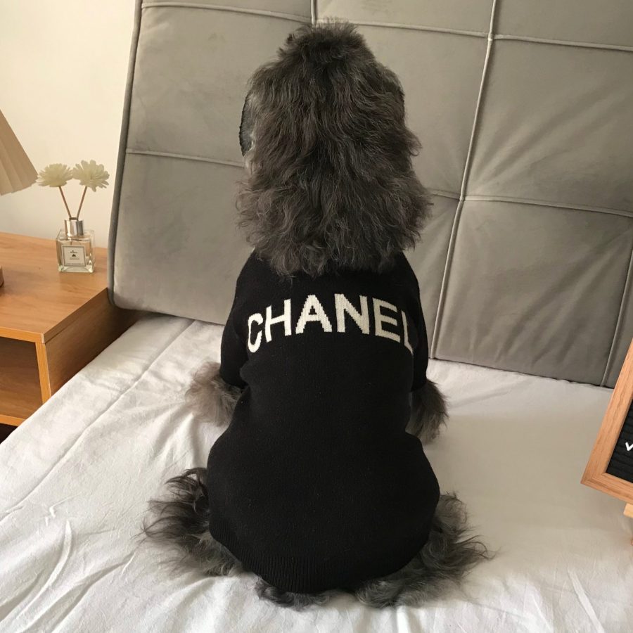 Chewnel Pullover Sweater - Image 6