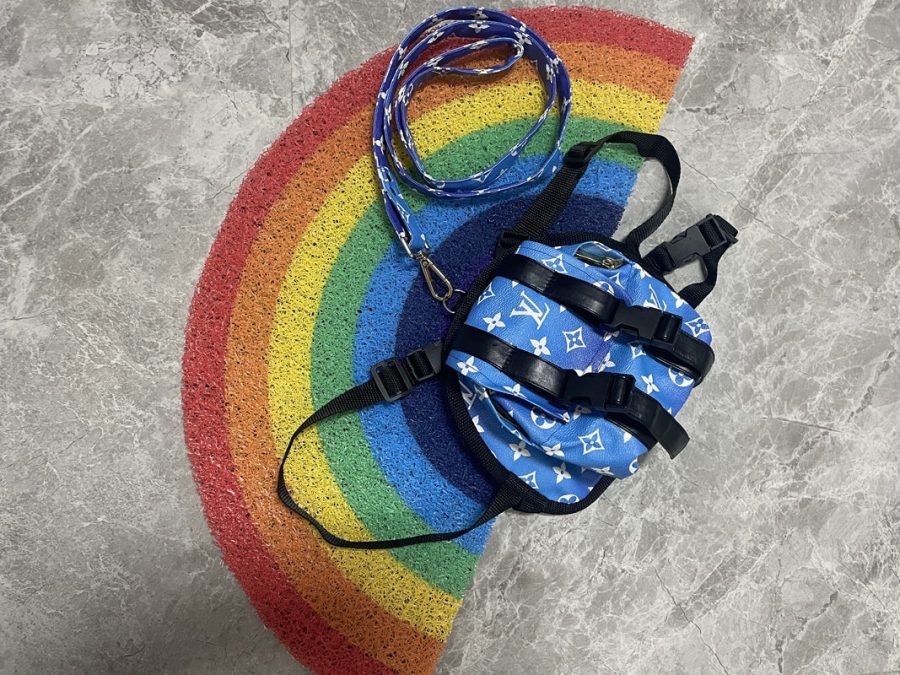 Chewy V Blue Backpack & Leash - Image 4