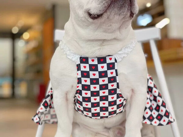 Dogior Hearts Dress - Image 2