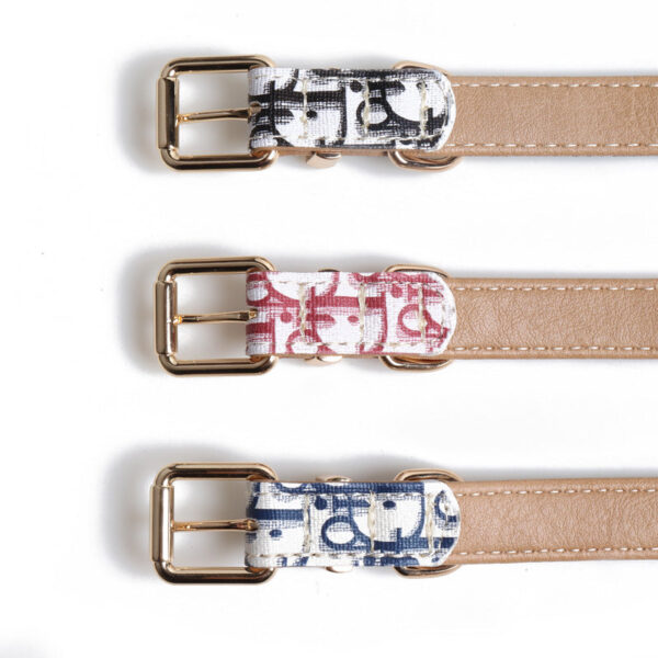 Dogior Collar & Leash Set - Image 8