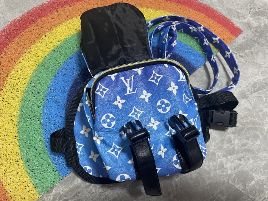 Chewy V Blue Backpack & Leash - Image 3