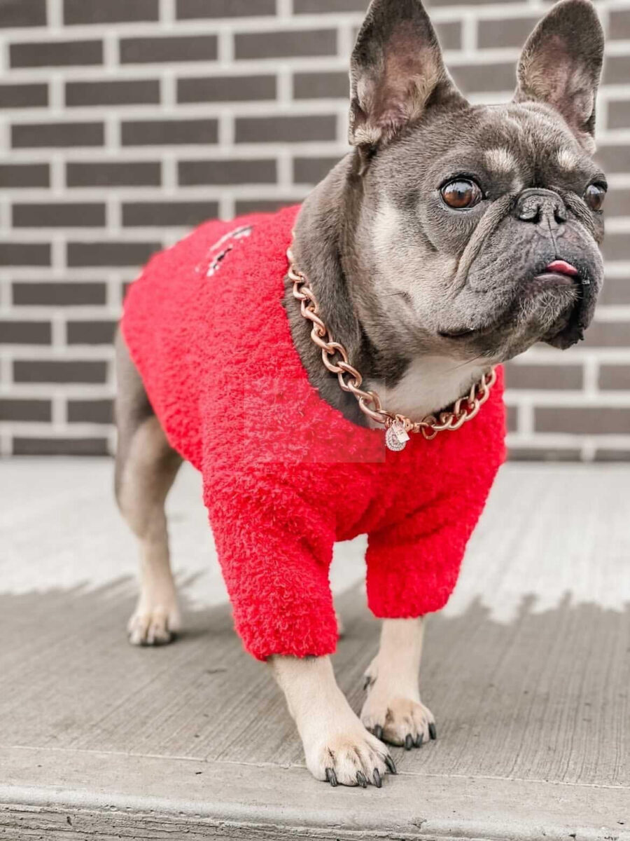 Chewnel Knitted Sweater Hype Pups designer dog clothes.