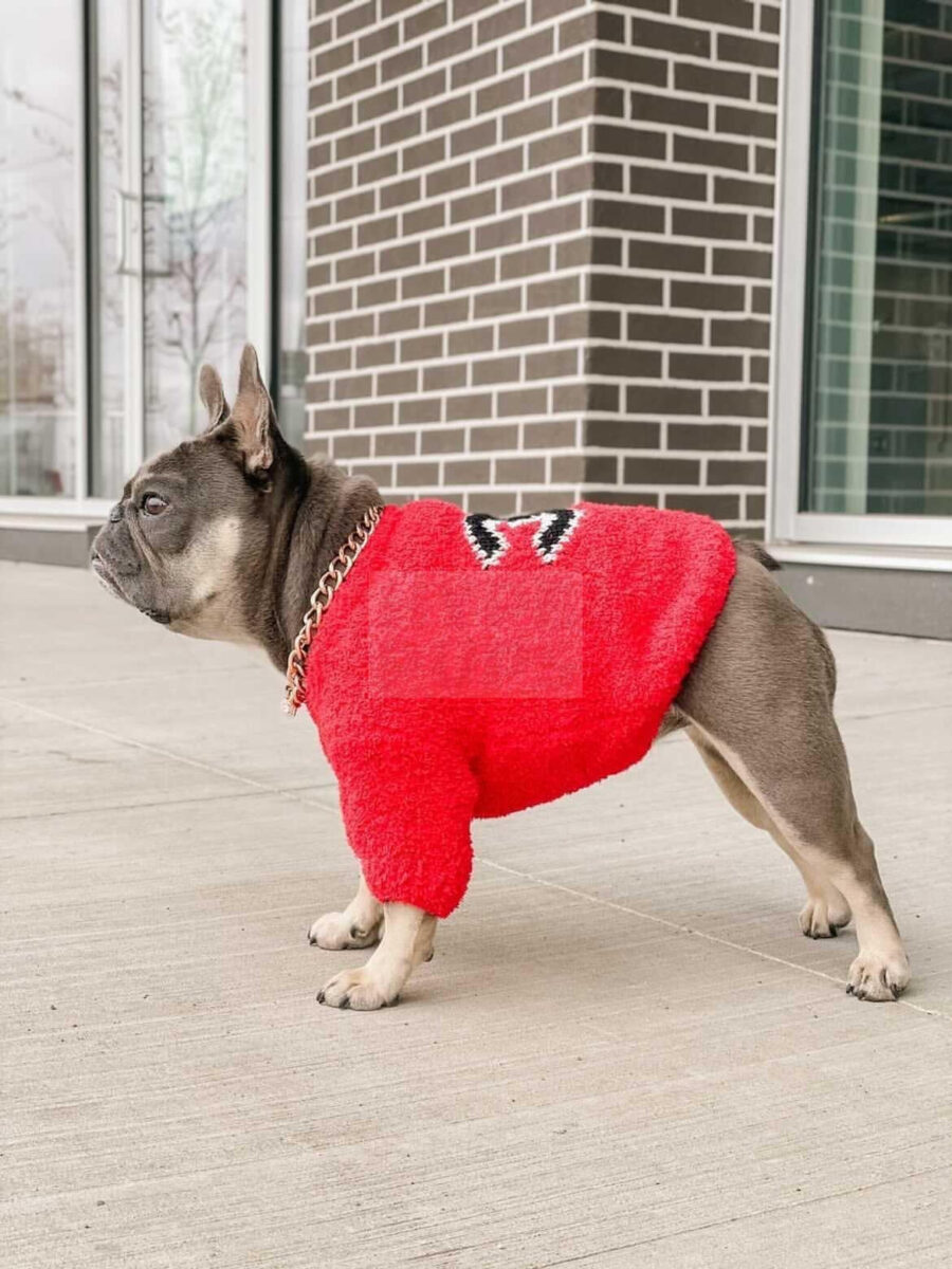 Chewnel Knitted Sweater Hype Pups designer dog clothes.