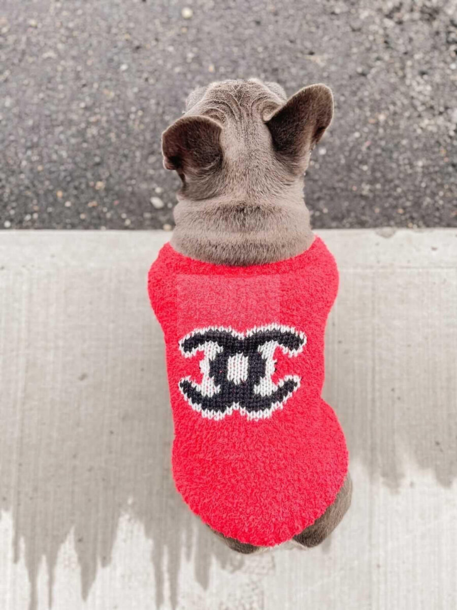 Chewnel Knitted Sweater Hype Pups designer dog clothes.