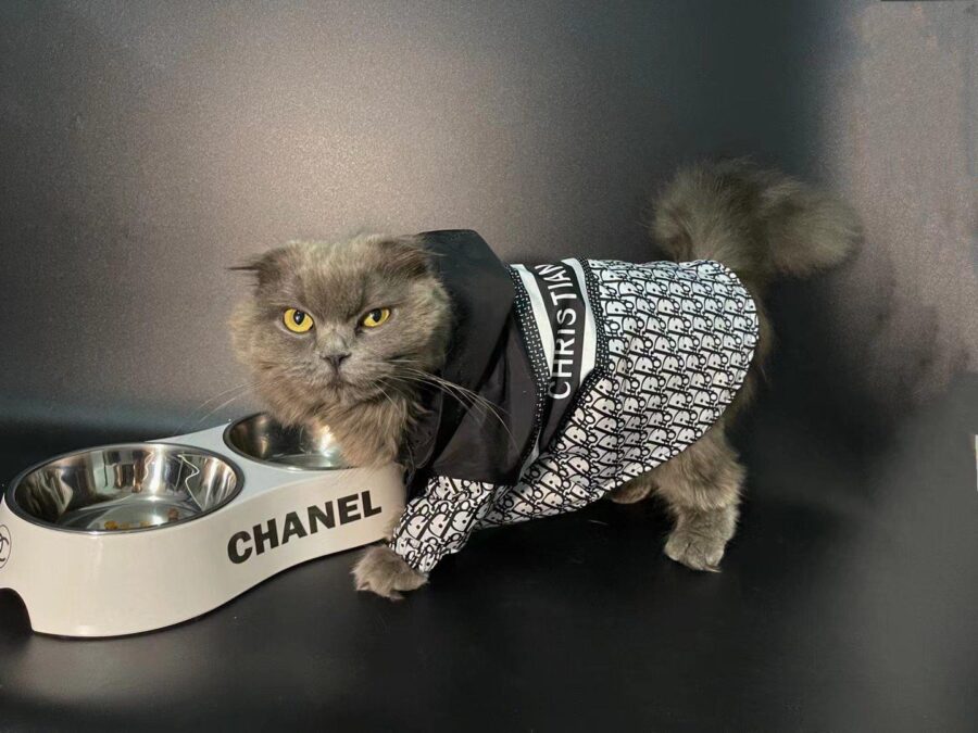 Chewnel Pet Feeder Hype Pups designer dog clothes.