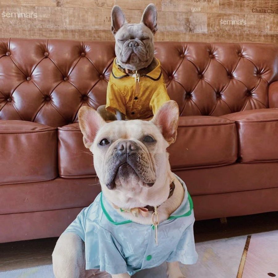 Chewy V Silk Pajamas Hype Pups designer dog clothes.