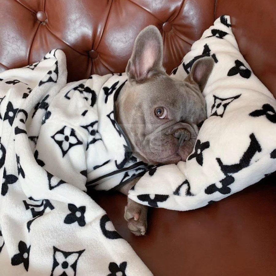 Chewy V Sleeping Set Hype Pups designer dog clothes.