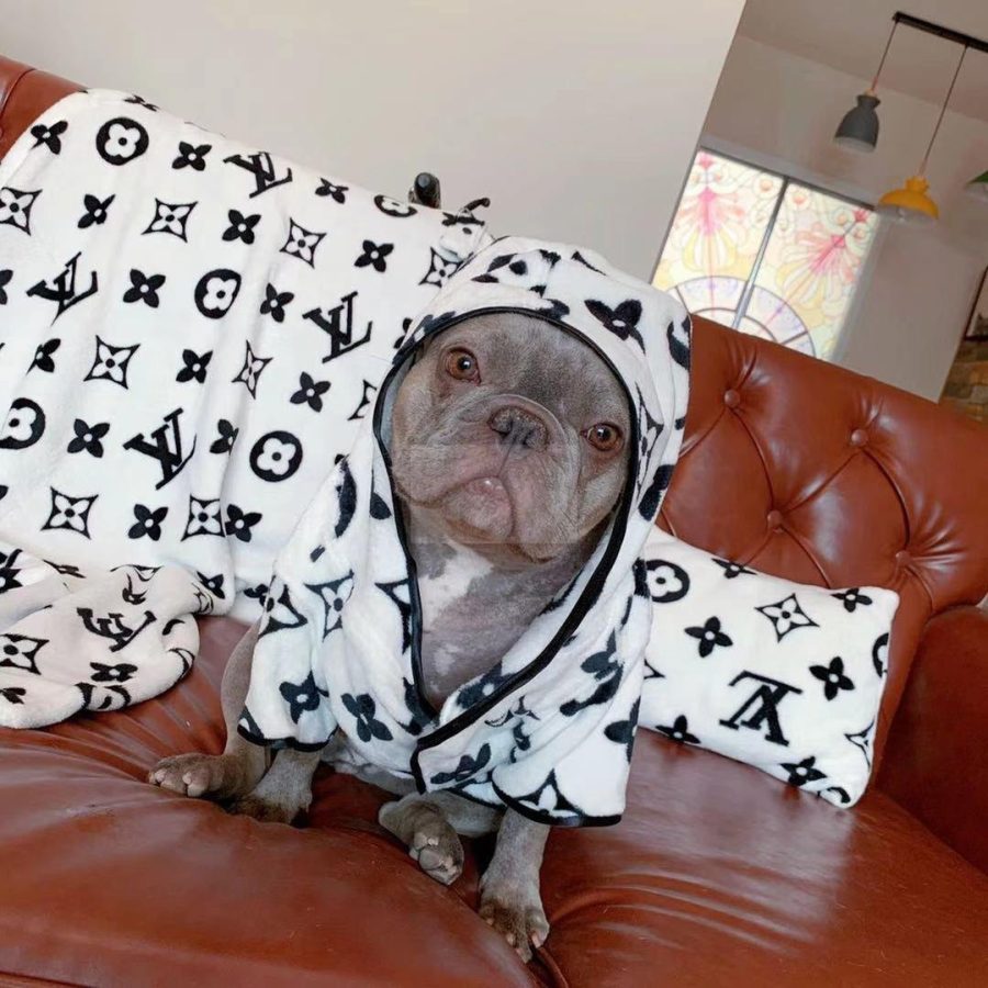 Chewy V Sleeping Set Hype Pups designer dog clothes.