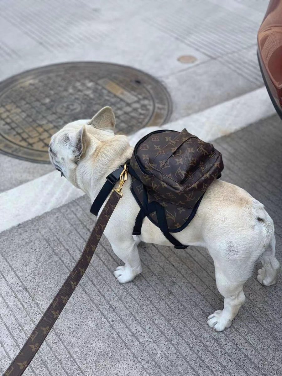 Chewy V Backpack - Image 6