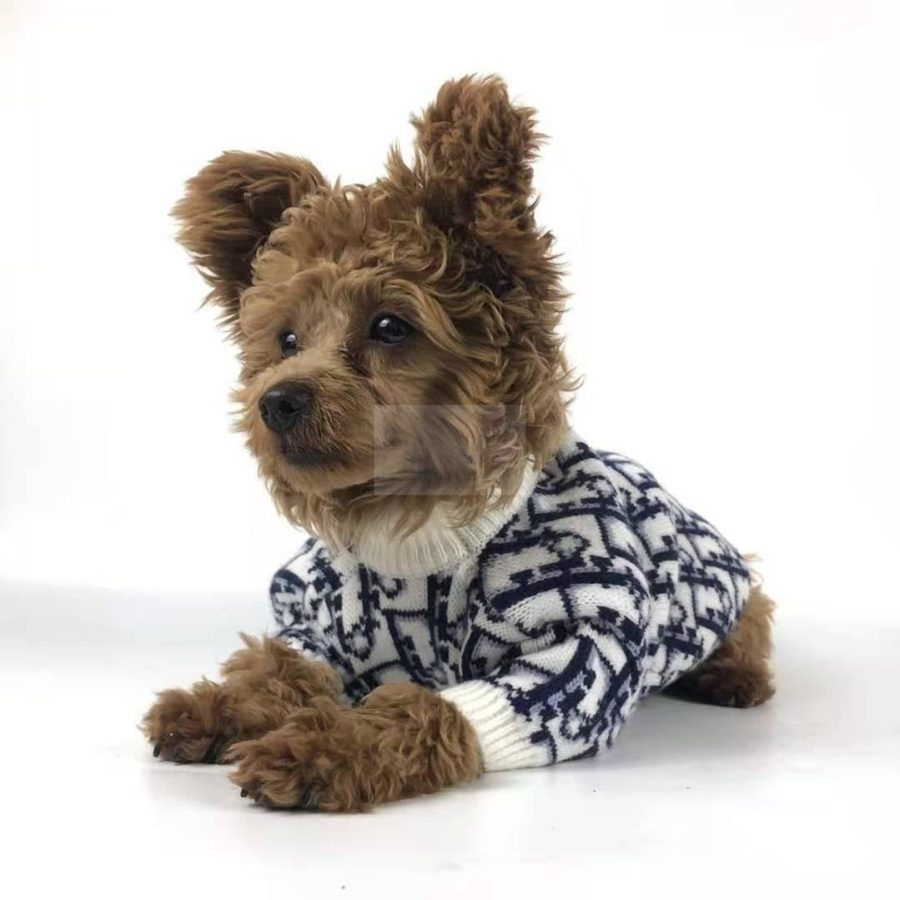 Dogior Classic Sweater Hype Pups designer dog clothes.