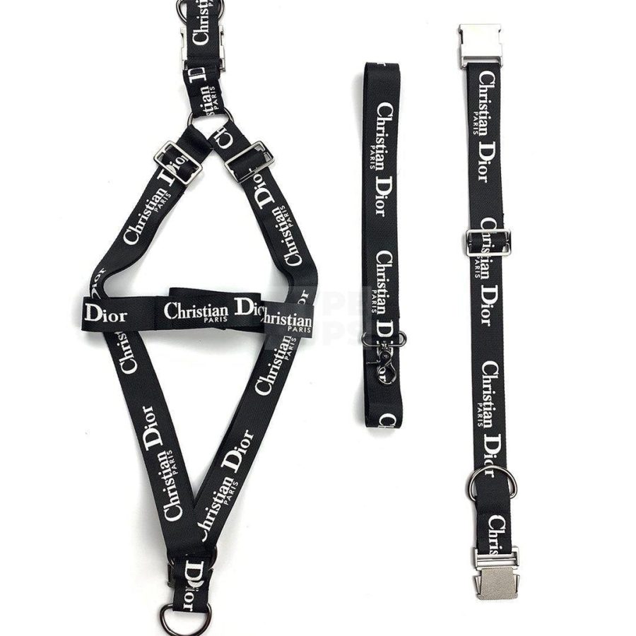 Dogior Logo Walking Set Hype Pups designer dog clothes.