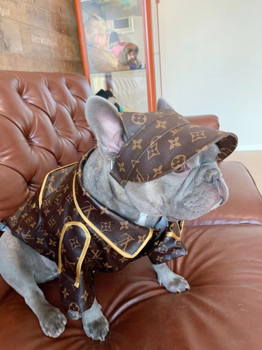 Chewy V Leather Jacket & Hat - Image 4