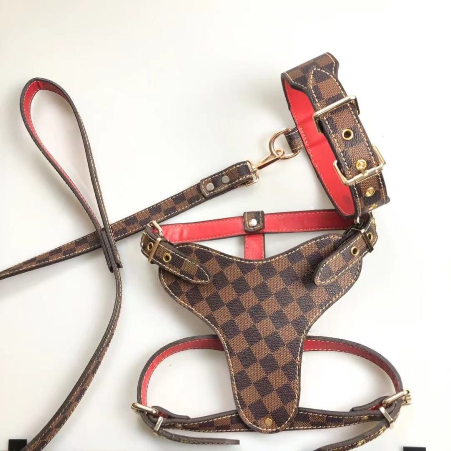 Chewy V Leather Walking Set - Image 3