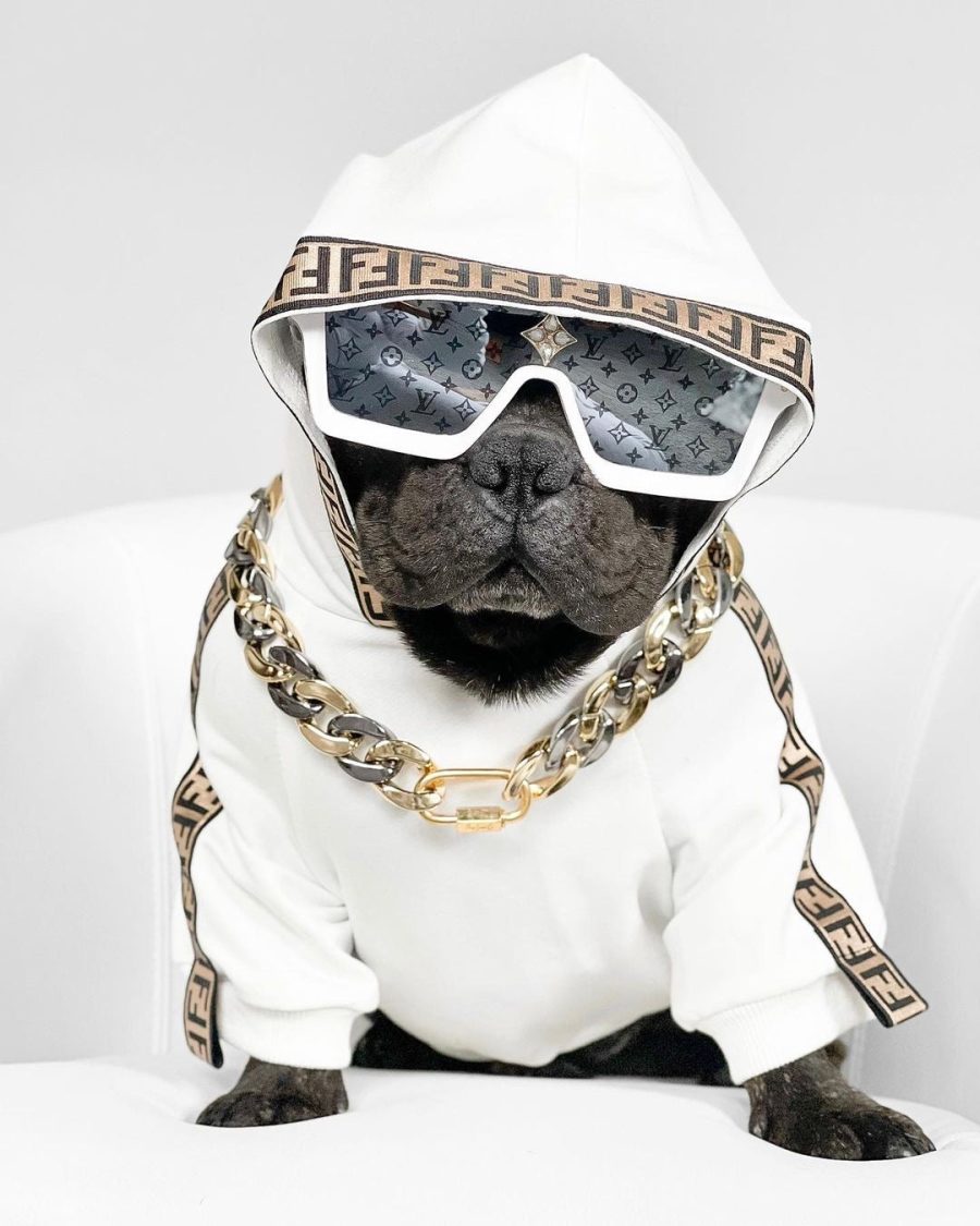 Furdi FF Trim Hoodie - Image 4