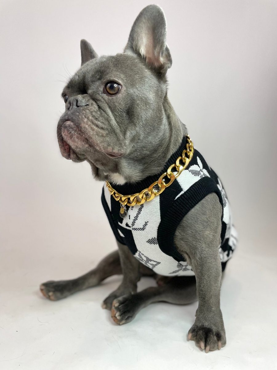 Chewy V Sweater Vest - Image 5