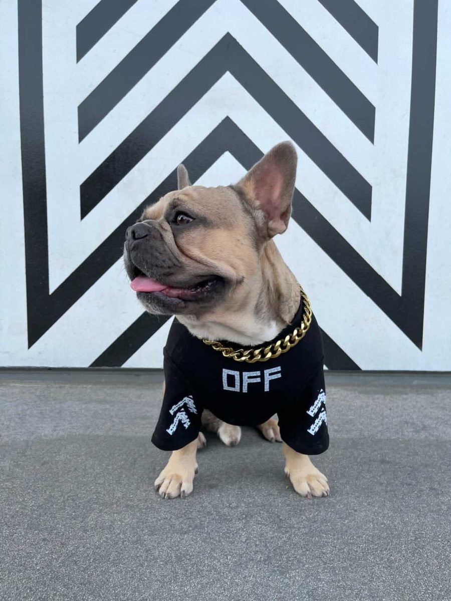 Woof-White Baggage Tee - Image 8