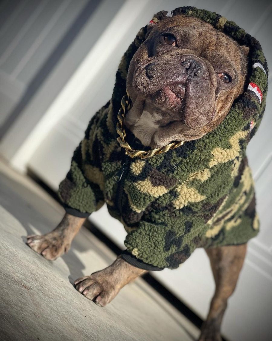 A Barking Pup Fleece Jacket - Image 5