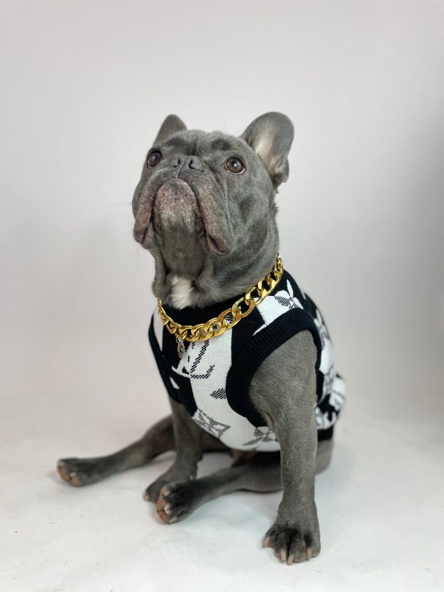 Chewy V Sweater Vest - Image 6