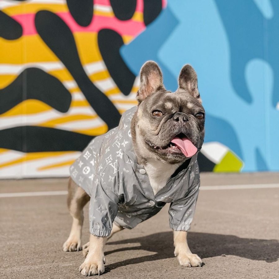 Chewy V Reflective Windbreaker - Image 4