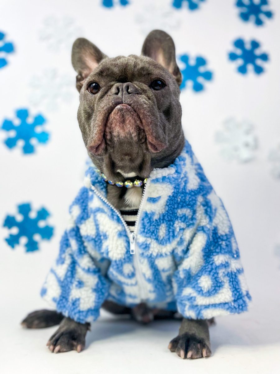 Dogior Fleece Jacket - Image 5