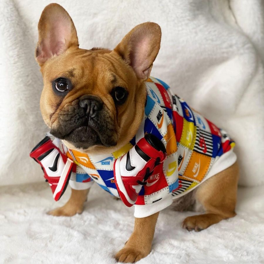 Air Dog Sweatshirt - Image 4