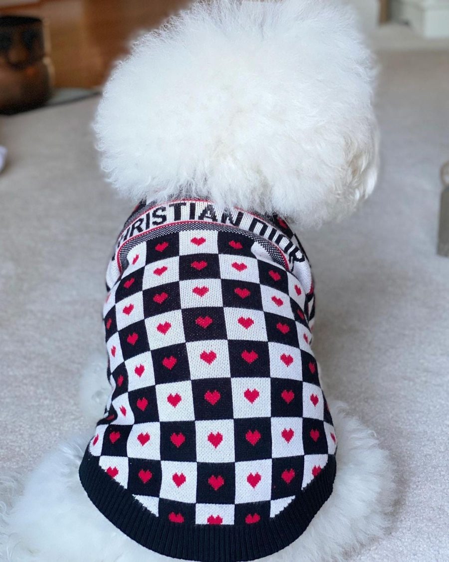 Dogior Hearts Sweater - Image 4