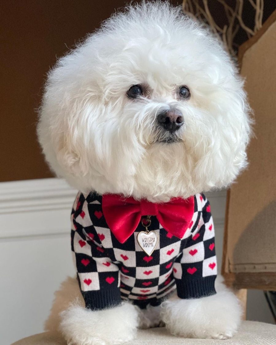 Dogior Hearts Sweater - Image 3