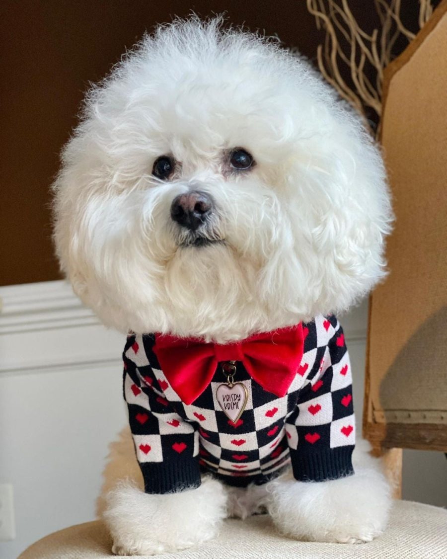 Dogior Hearts Sweater - Image 2