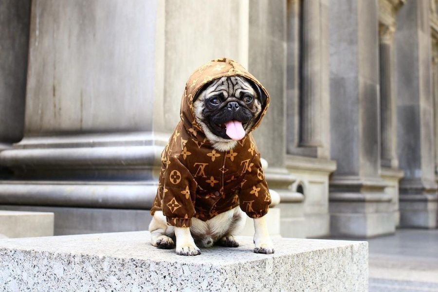 Chewy V Reverse Monogram Jacket - Image 4