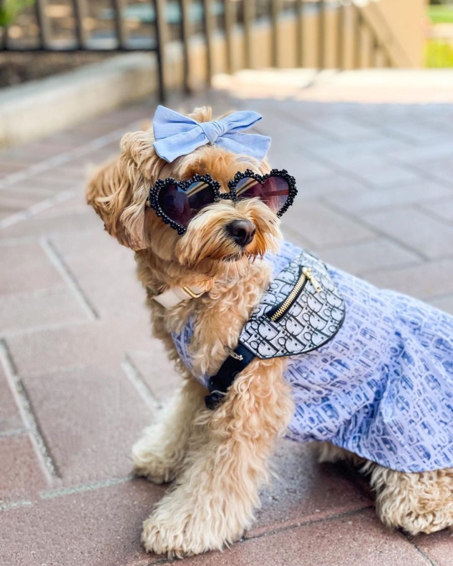 Dogior Oblique Dress - Image 7