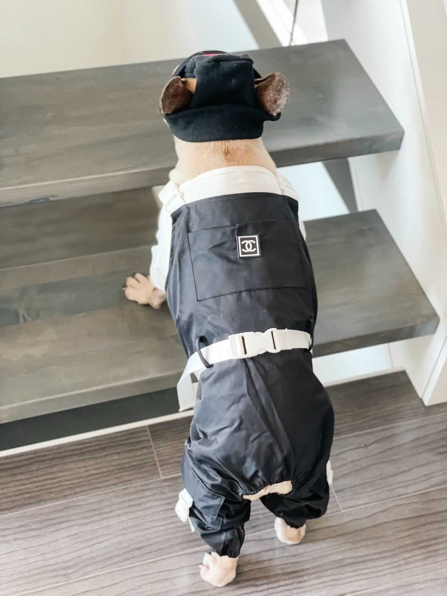Chewnel Buckle Overalls - Image 6