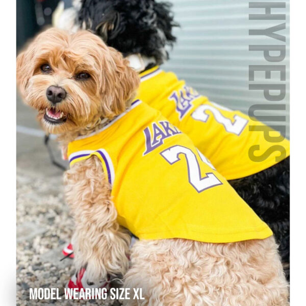 Basketball Jerseys - Image 5