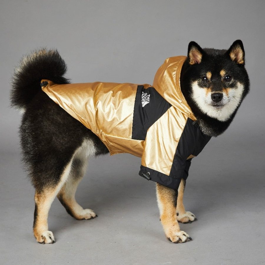 Pupreme x TDF Windbreaker - Image 4