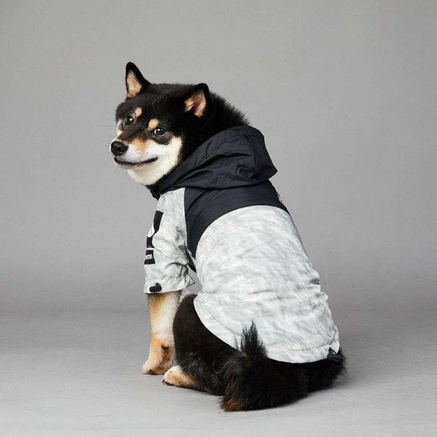 Pupreme x TDF Windbreaker - Image 5