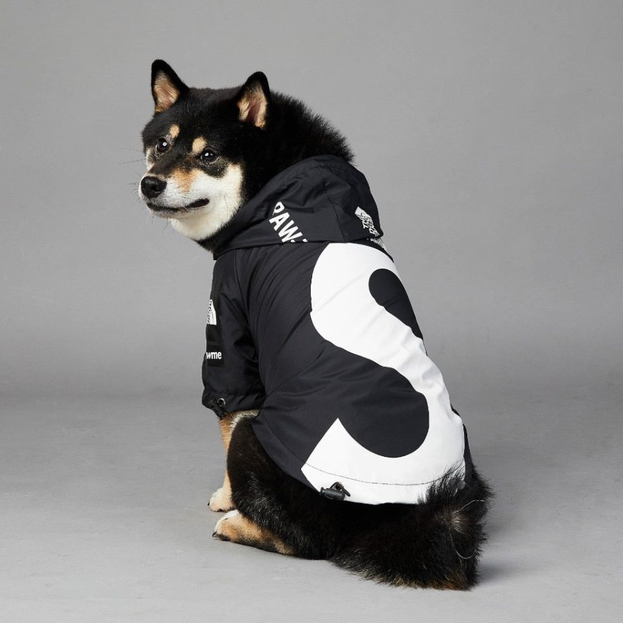 Pupreme x TDF S Windbreaker - Image 2