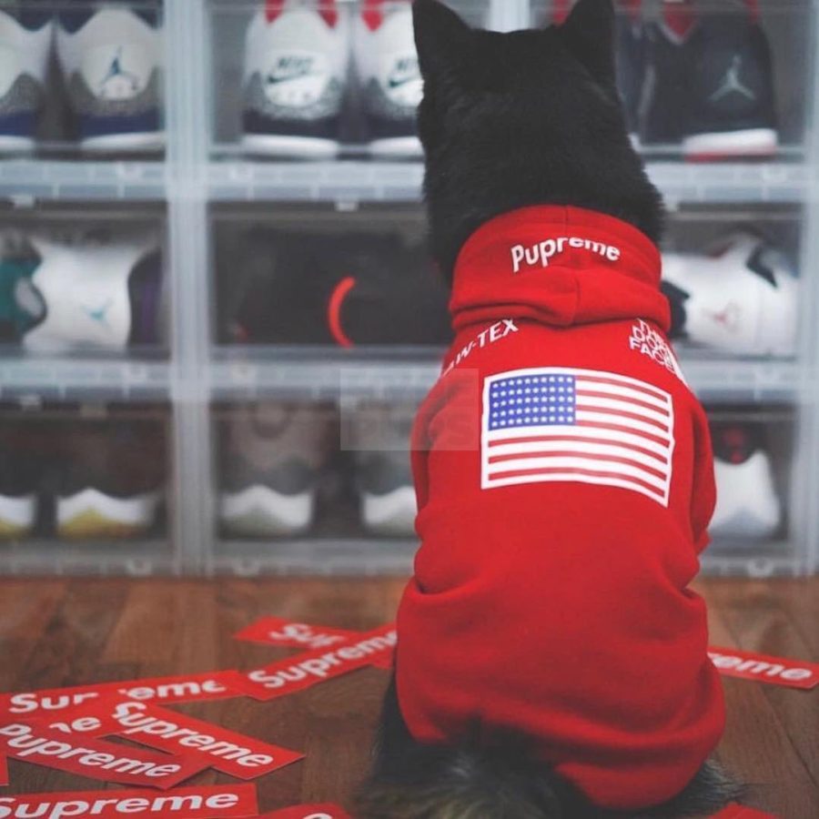 Pupreme x TDF Hoodie Hype Pups designer dog clothes.
