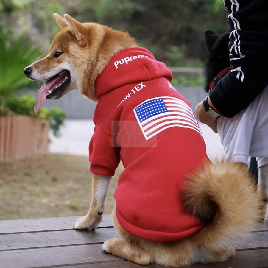 Pupreme x TDF Hoodie Hype Pups designer dog clothes.