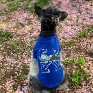 Woof-White x Paws Tee Hype Pups designer dog clothes.